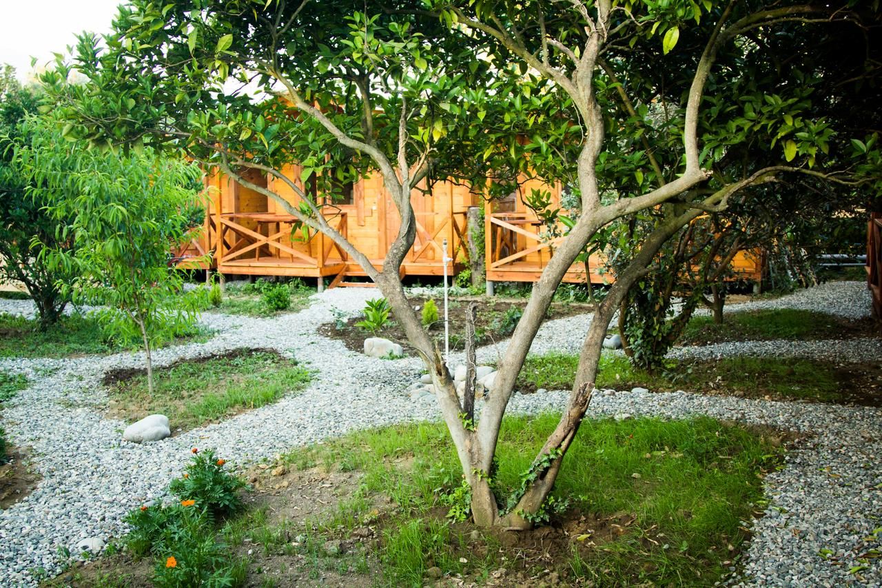 Дома для отпуска Holiday home Teremki Гагра-38