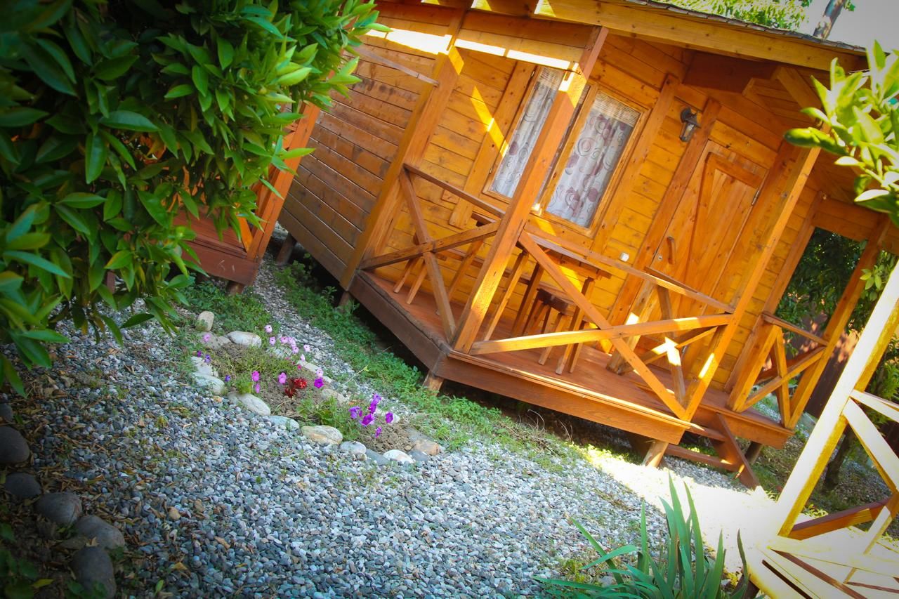 Дома для отпуска Holiday home Teremki Гагра