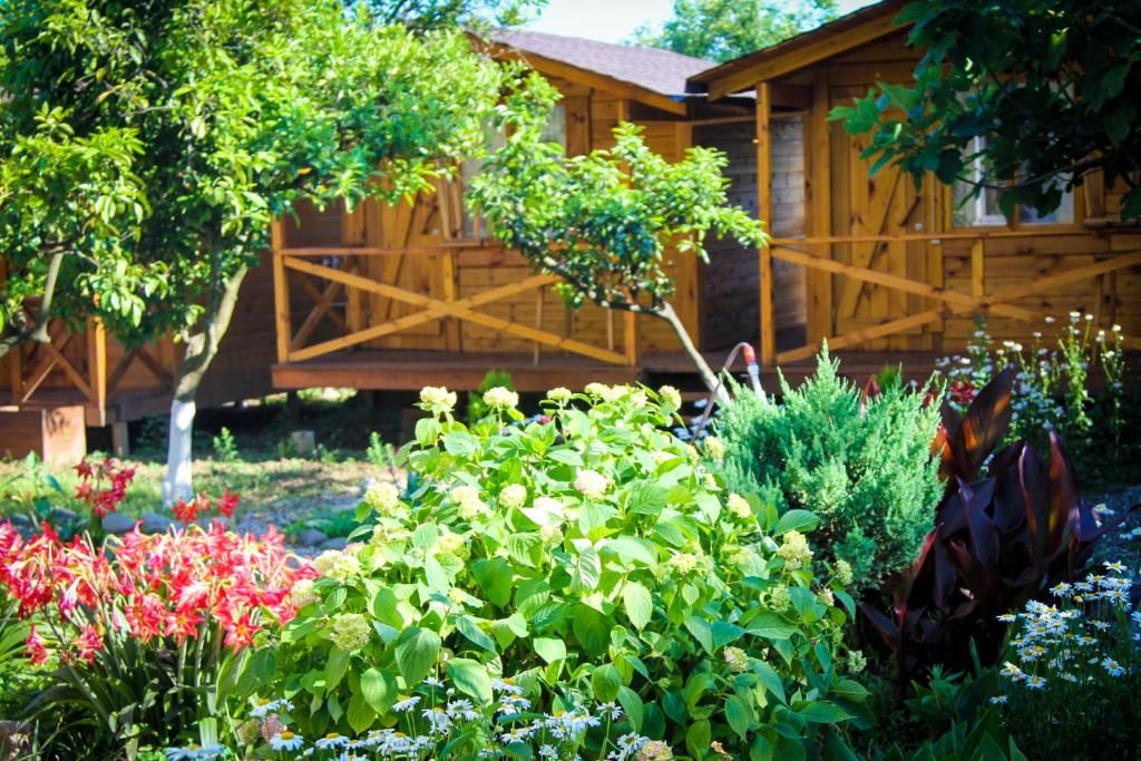 Дома для отпуска Holiday home Teremki Гагра-101