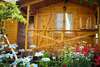 Дома для отпуска Holiday home Teremki Гагра-1