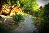 Дома для отпуска Holiday home Teremki Гагра-3