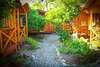 Дома для отпуска Holiday home Teremki Гагра-5