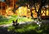 Дома для отпуска Holiday home Teremki Гагра-7