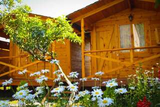 Дома для отпуска Holiday home Teremki Гагра Дом для отпуска-16