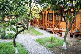 Дома для отпуска Holiday home Teremki Гагра Дом для отпуска-61