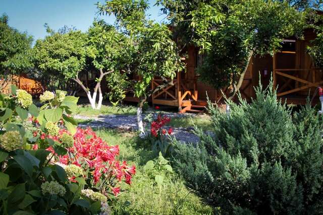 Дома для отпуска Holiday home Teremki Гагра-15
