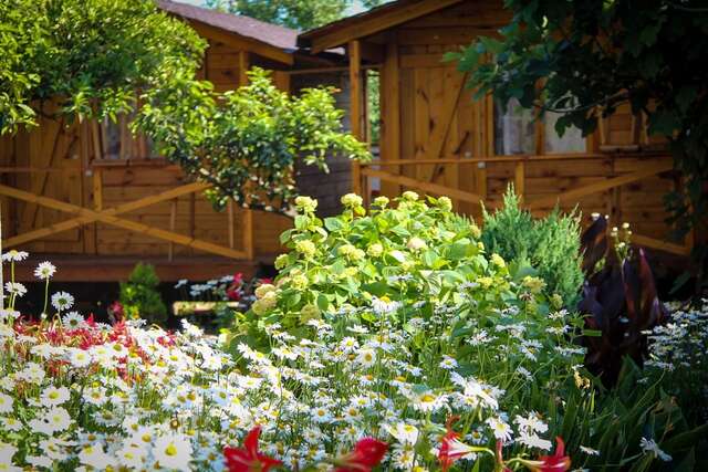 Дома для отпуска Holiday home Teremki Гагра-17