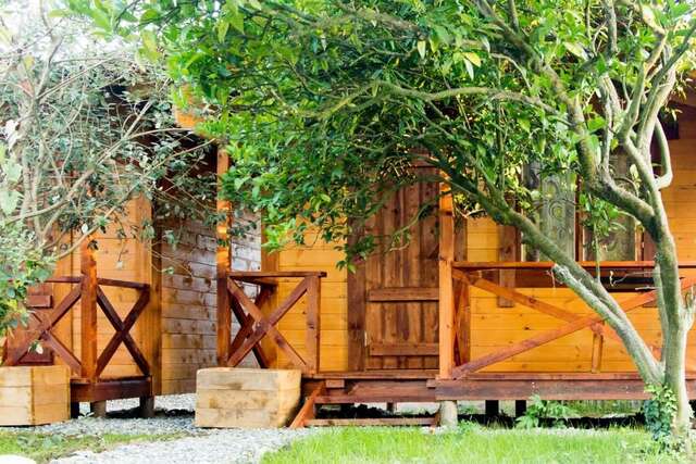 Дома для отпуска Holiday home Teremki Гагра-74